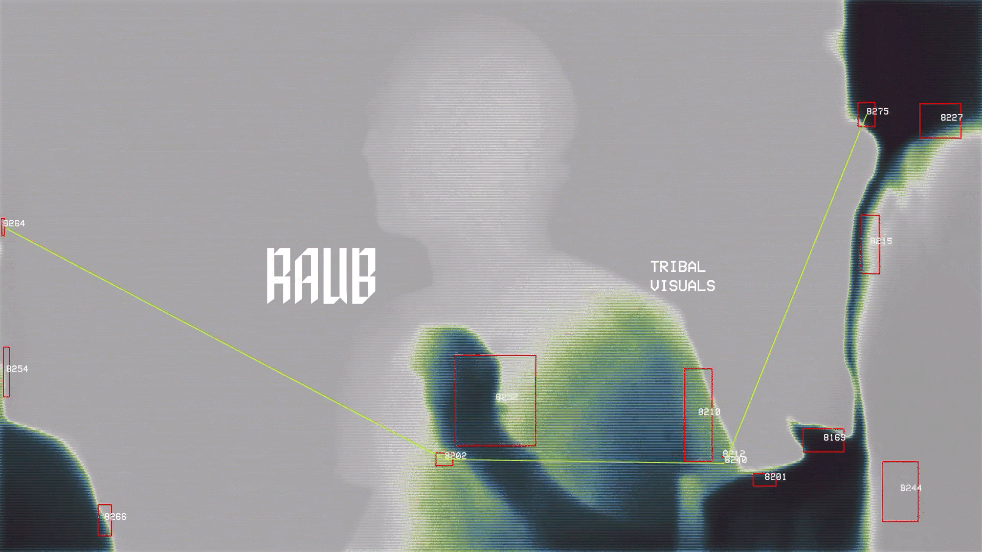RAUB